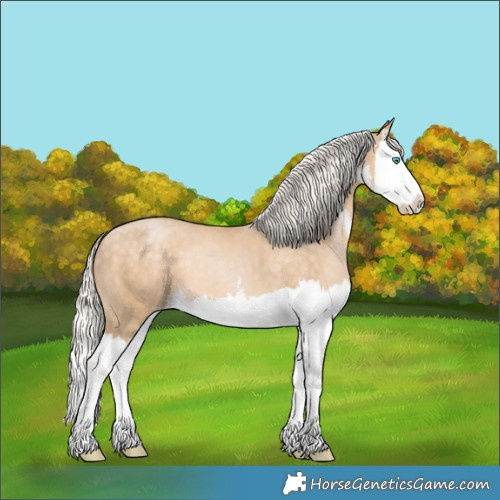 Horse Color:White Spotted Silver Buckskin Pearl Splash 