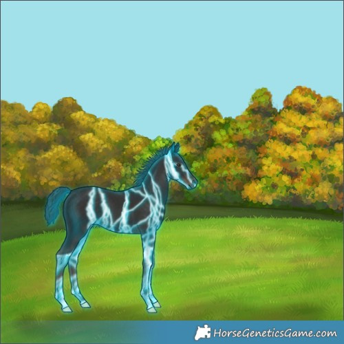 Horse Color:Thunderstruck Liver Chestnut 