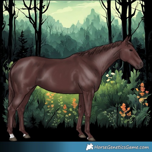 Horse Color:Chocolate Black 