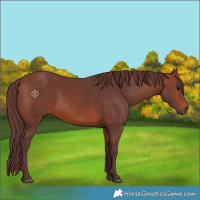 Horse Color:Chocolate Brown