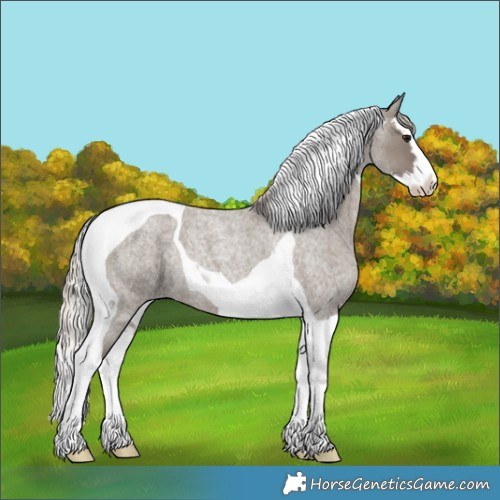 Horse Color:Silver Grullo Roan Splash Tobiano 