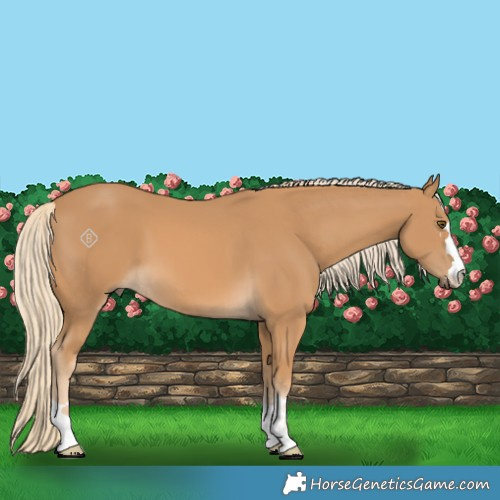 Horse Color:Palomino Mushroom