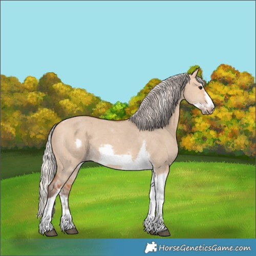 Horse Color:Silver Bay Dun Sabino Tobiano Frame Rabicano 