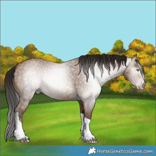 Horse Color:Gray Amber Champagne Tobiano 