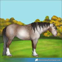 Horse Color:Gray Amber Champagne Tobiano