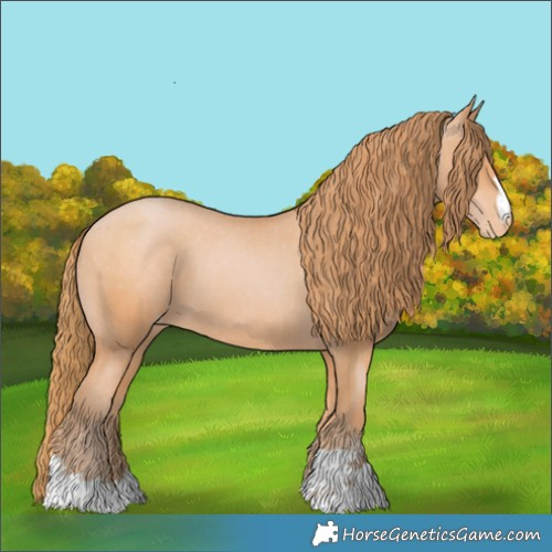 Horse Color:Bay Pearl Appaloosa 