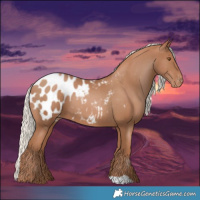 Horse Color:Silver Black Pearl Appaloosa