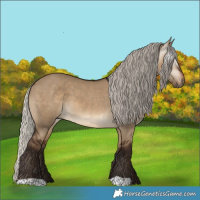 Horse Color:Gray Silver Bay Dun Varnish