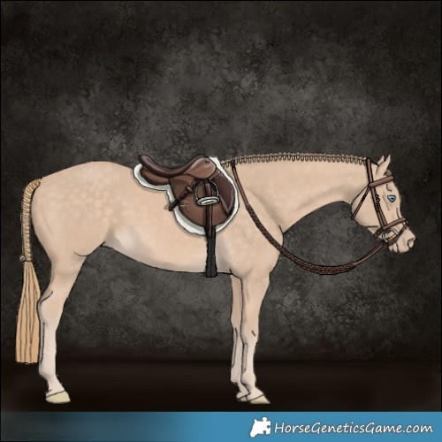 Horse Color:Chocolate Perlino