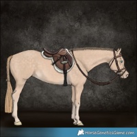 Horse Color:Chocolate Perlino 