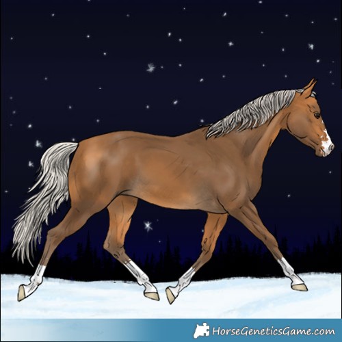 Horse Color:Silver Buckskin 
