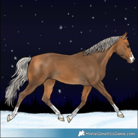 Horse Color:Silver Buckskin