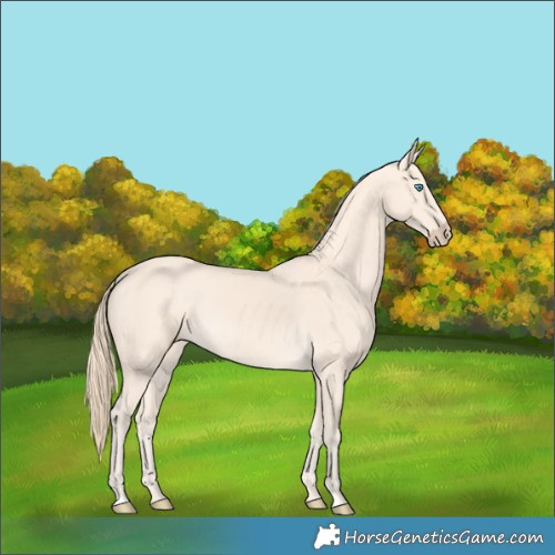 Horse Color:Perlino 