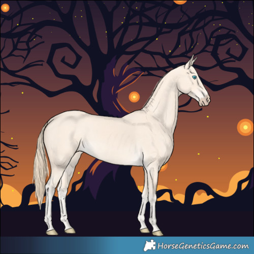 Horse Color:Perlino 