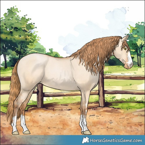 Horse Color:Bay Pearl Dun Varnish 
