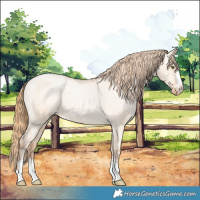Horse Color:Bay Pearl Dun Varnish 