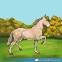 Horse Color:Chestnut Pearl Blanket