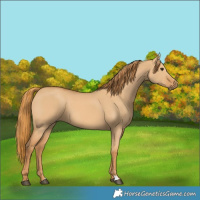 Horse Color:Red Dun 