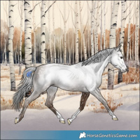 Horse Color:Gray Classic Champagne Tobiano 