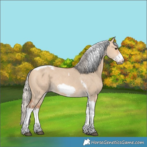 Horse Color:Silver Bay Dun Sabino Tobiano Frame Rabicano