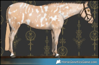 Horse Color:Bay Pearl Near Leopard