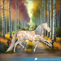 Horse Color:Chestnut Pearl Appaloosa