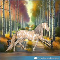 Horse Color:Chestnut Pearl Appaloosa 