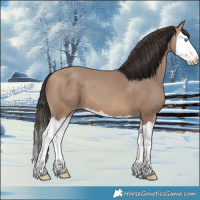 Horse Color:Sable Champagne Splash