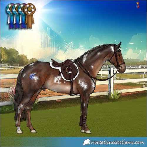Horse Color:White Spotted Liver Chestnut Rabicano 