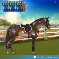 Horse Color:White Spotted Liver Chestnut Rabicano 