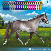 Horse Color:Gray Chocolate Brown Rabicano 
