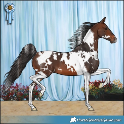 Horse Color:White Spotted Brown Tobiano 