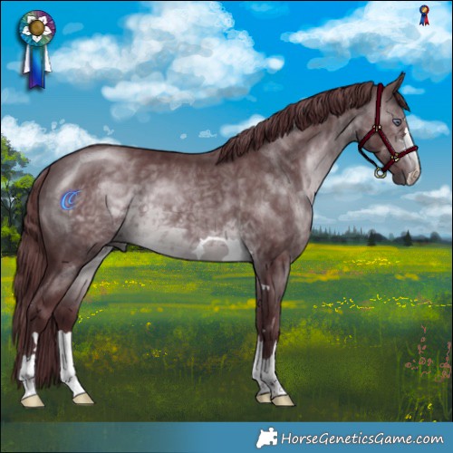 Horse Color:Chocolate Brown Chinchilla Mushroom 