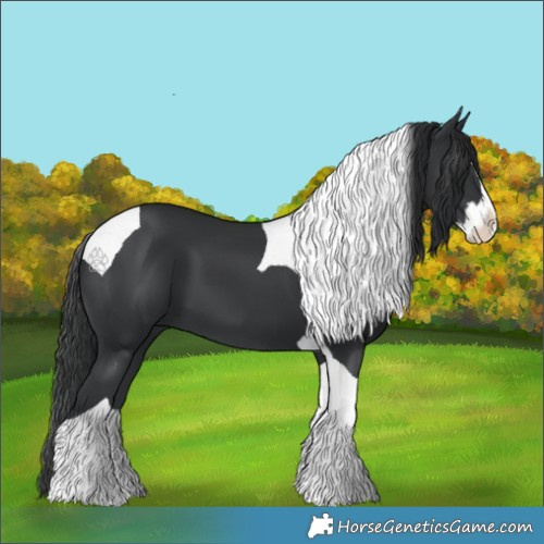 Horse Color:Black Splash Tobiano