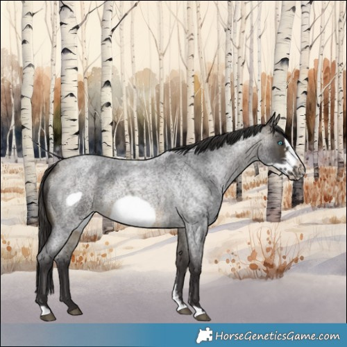 Horse Color:Buckskin Roan Sabino Frame 