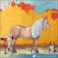 Horse Color:White Spotted Gold Champagne Mushroom 