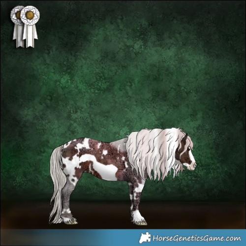 Horse Color:White Spotted Silver Black Ice Frame 