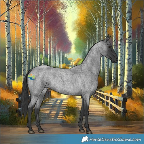 Horse Color:Blue Roan