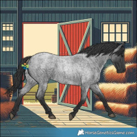 Horse Color:Blue Roan 