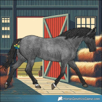 Horse Color:Blue Roan 