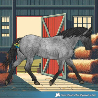 Horse Color:Blue Roan 