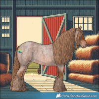 Horse Color:Red Roan 