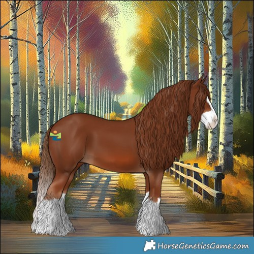 Horse Color:Chestnut Splash 