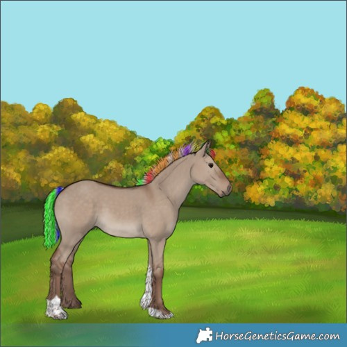 Horse Color:Painted Silver Grullo Tobiano
