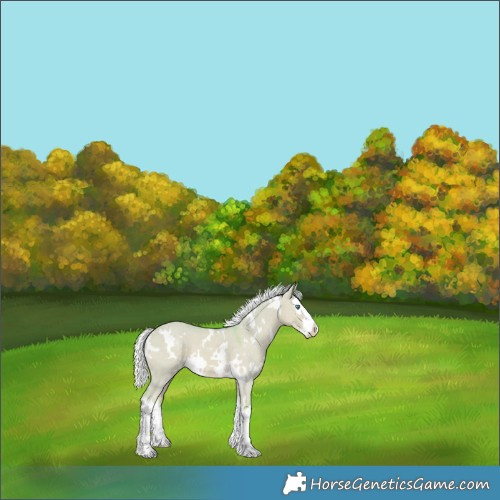 Horse Color:Watercolor White Spotted Silver Perlino Dun Splash