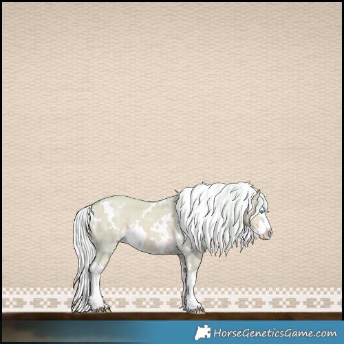 Horse Color:Watercolor White Spotted Silver Perlino Dun Splash 