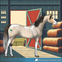 Horse Color:Buckskin Roan Dun Splash Tobiano 