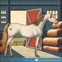 Horse Color:Red Dun Roan 