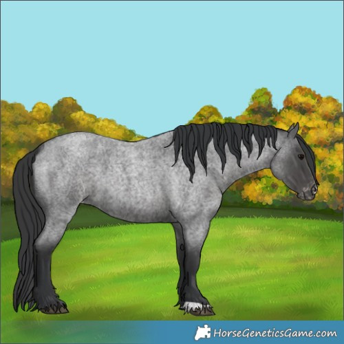Horse Color:Blue Roan Skewed LP Spotted 