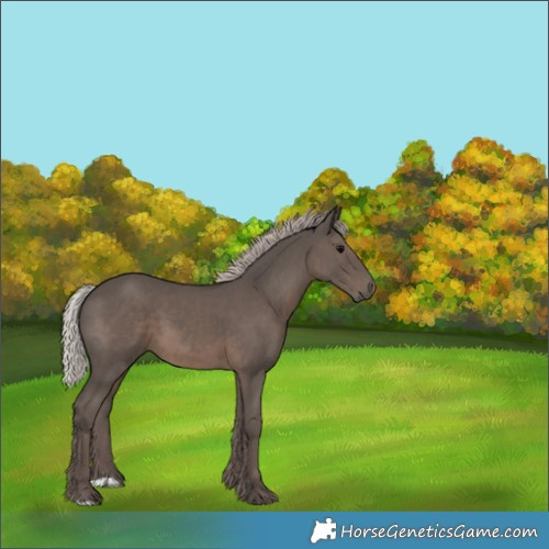Horse Color:Silver Black 